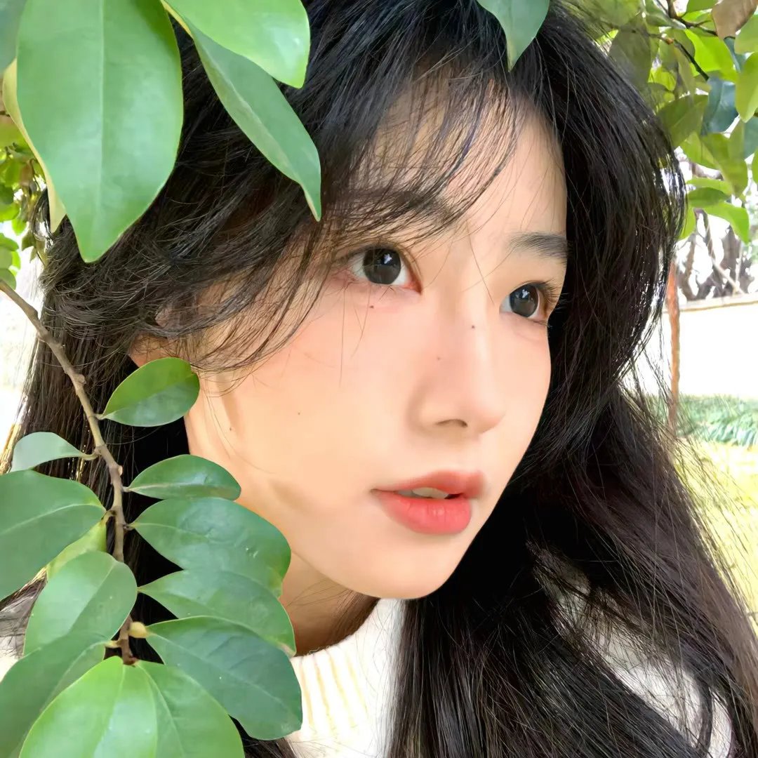 春泛桃花源 在线观看