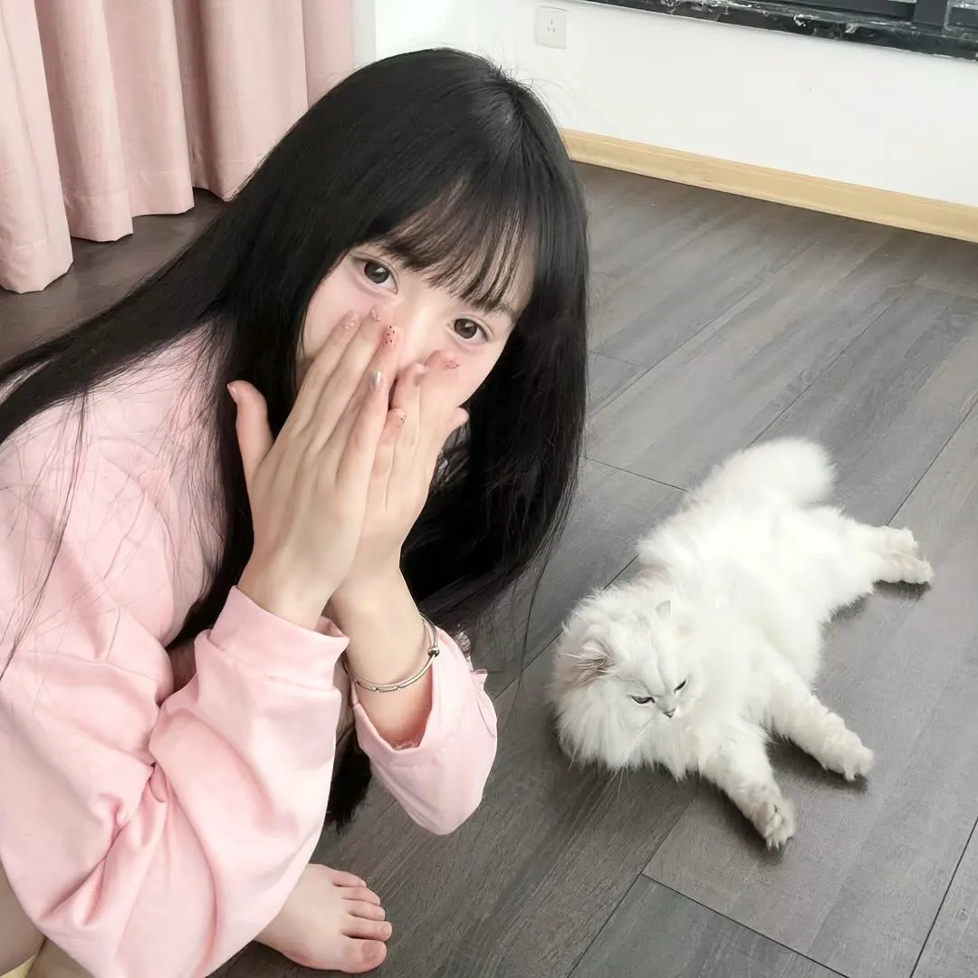 比赛规则 在线观看